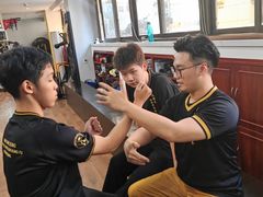-温鉴良实用咏春拳