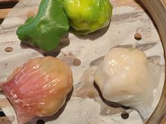 -点都德·毕德寮