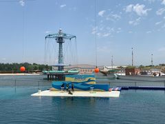 -秦皇岛乐岛海洋王国