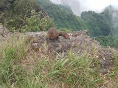 -峨嵋山金顶