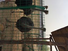 iphone_upload_pic-河北村民俗体验园