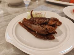 -喜来登由由大酒店九州膳坊中餐厅