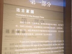 -中国闽台缘博物馆