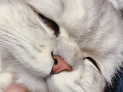-FAELING PETS美天灵宠物(富力广场店)