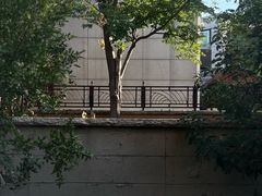 -天津东丽湖风景区