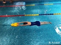 -小海豚国际游泳培训中心(浦东源深体育中心店)