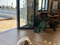 -石头会唱歌融来+北港岚台两岸交流中心