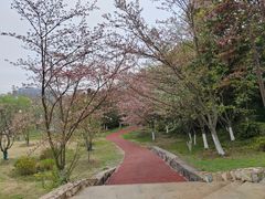 -天生桥景区