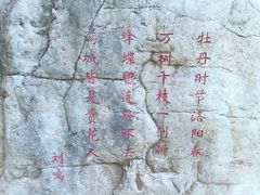 -洛阳市隋唐城遗址植物园