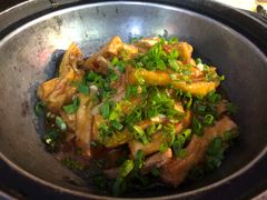 红烧豆腐煲-飞尝蚝·顺德菜·鱼生(顺德总店)
