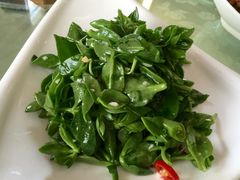 -假日王朝(王朝礼宴中餐部)