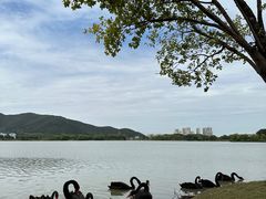 -长兴太湖图影湿地文化园