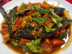 -生态苑农庄(十里画廊遇龙河店)