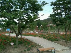 游乐设施-绵阳盛世樱花悠乐谷