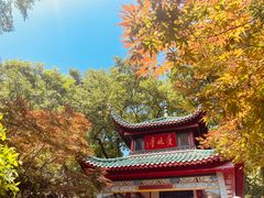 -岳麓山风景名胜区