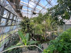 -北京植物园-展览温室