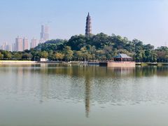 -顺峰山公园