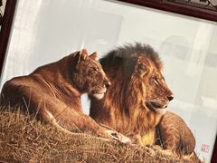 -杭州工艺美术博物馆