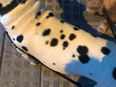 -炊烟小炒黄牛肉(中心印象城店)
