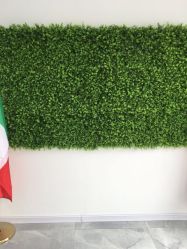 -莱可美科技美肤