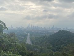 -火炉山森林公园