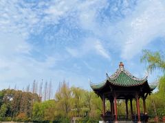 -棠湖公园