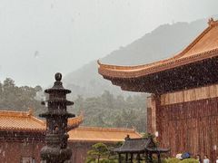 -深圳仙湖植物园