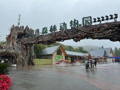 -大连森林动物园