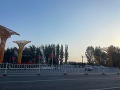 -白洋淀景区