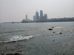 -九龙餐厅(大沽路店)