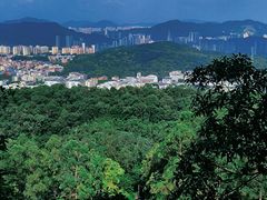 -火炉山森林公园