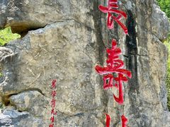 -长寿村