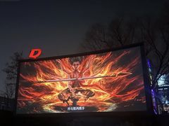 -枫花园汽车电影院(朝阳公园店)