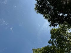 -羊山湖公园