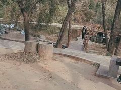 -封龙山风景区
