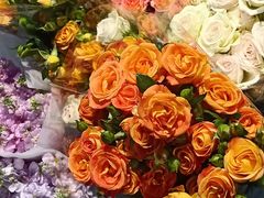 -循礼门鲜花花市(武汉循礼门店)