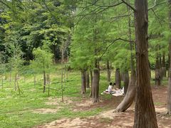 -广州市帽峰山景区