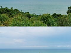 -广东惠东海龟国家级自然保护区
