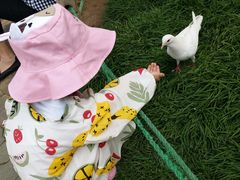 游乐设施-紫荆山公园