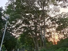 -东莞植物园