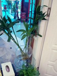 -芳朵美容养生SPA