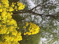 iphone_upload_pic-溱湖国家湿地公园