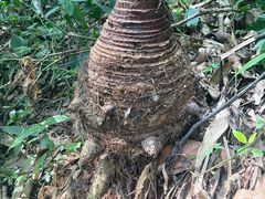 -赤水丹霞旅游区·佛光岩