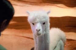 -酷嗒动物文化乐园(cutezoo西溪乐天城店)