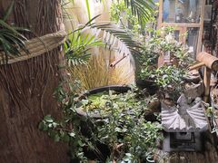 -西西里轰趴日租聚会别墅·团建拓展