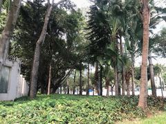-福田红树林生态公园