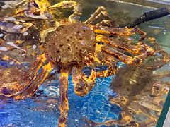 -驻海渔市(置信店)