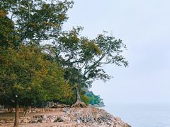 -抚仙湖禄充风景区