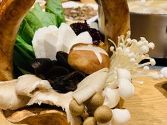 -掂档潮汕牛肉火锅(沈阳万象城店)