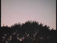 -Something For(中洲湾店)